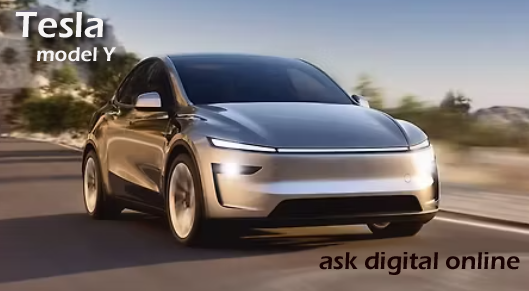 Elon Musk Tesla